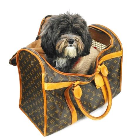 Replica Louis Vuitton Dog Carrying Bag 